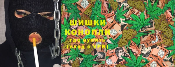 стаф Корсаков