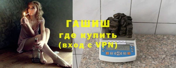 стаф Корсаков