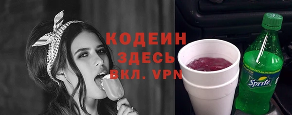 стаф Корсаков