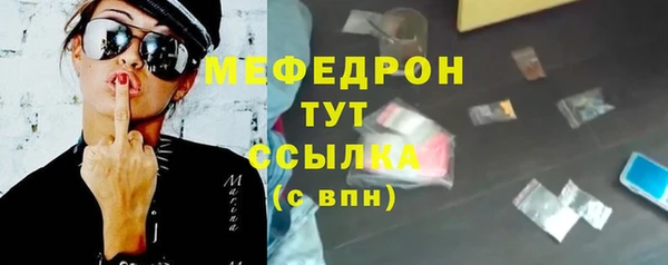 стаф Корсаков