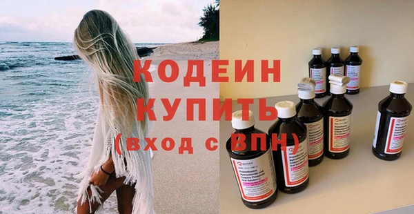 стаф Корсаков