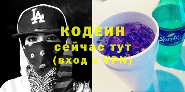 дживик Костерёво