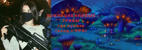эйфоретик Краснослободск
