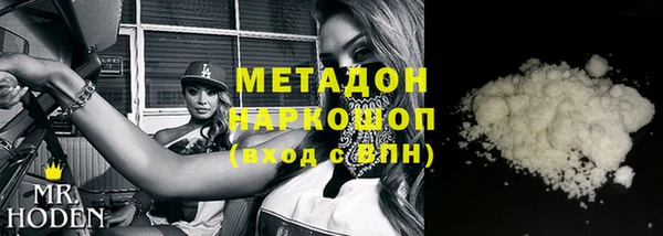 стаф Корсаков